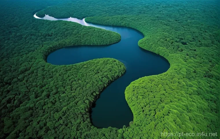 위성 데이터와 생태 분석 - **Prompt: "A breathtaking, high-resolution aerial view of a verdant Amazon rainforest, meticulously ...