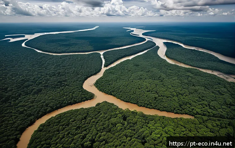 환경 생태 시스템 - A detailed aerial view of the Amazon rainforest during the dry season, showcasing visibly reduced ri...